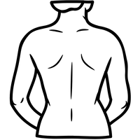 Rücken